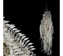 Sleziník - umělá převislá větev, krémová