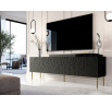 Tv komoda JUNGLE RTV, černá matná/černá matná