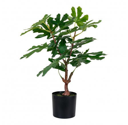 Umělý fíkovník 60 cm