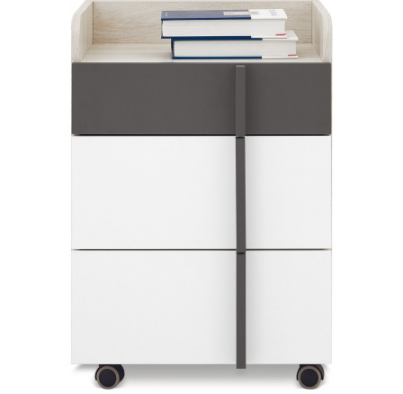 Kontejner REMO RM11, Dub Wilton bílý/Bílá Lux/Antracit