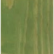 Oliva