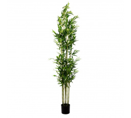 Umělá rostlina TROPICAL ZONE bambus 180 cm 877914