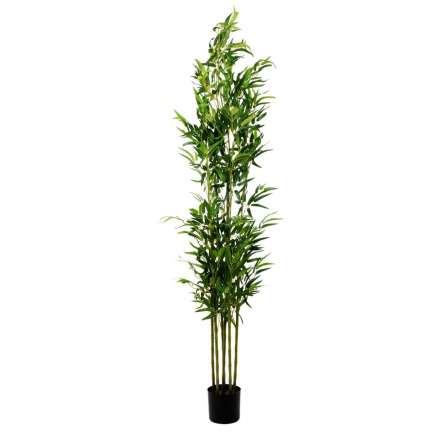 Umělá rostlina TROPICAL ZONE bambus 180 cm 877914