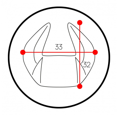 Polštář opěrka hlavy X-Horn s personalizovanou výšivkou, černo-červená Polštář opěrka hlavy X-Horn s personalizovanou výšivkou, černo-červená