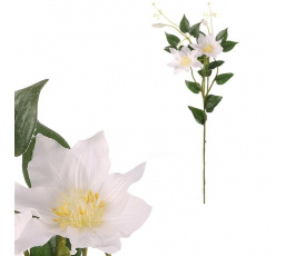 Clematis - umělá řezaná květina, bílá