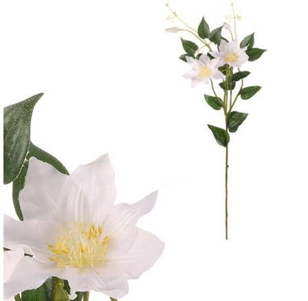 Clematis - umělá řezaná květina, bílá