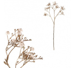 Gypsophila - s pozlacením, bílo-krémová kvítka