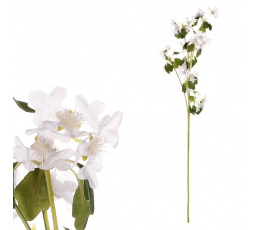 Clematis - umělá řezaná květina, bílá