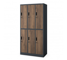 Plechová uzamykatelná šatní skříň s 6 boxy IGOR, 900 x 1850 x 450 mm, Eco Design: antracitová/ořech
