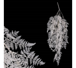 Kapradí - umělá převislá větev, barva bílá