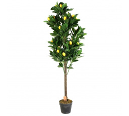 Umělé citronovníkové stromky 120 cm