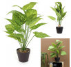 Umělá rostlina Alocasia 55 cm