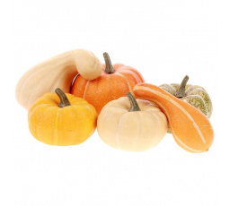 Dýně plastové, mix tvarů v síťce. Cena za síťku.