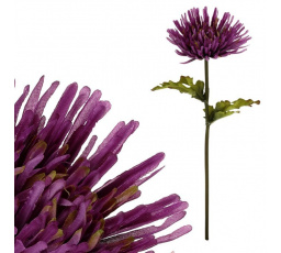 Chryzantéma - umělá řezaná květina, tmavě fialová