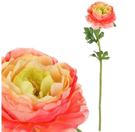 Ranunculus - umělá řezaná květina, barva růžovo-žlutá