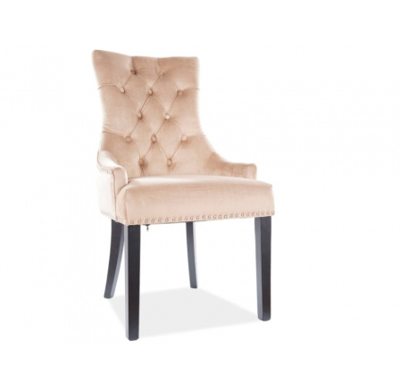 Jídelní židle EDWARD béžová Velvet Bluvel 28 Jídelní židle EDWARD béžová Velvet Bluvel 28