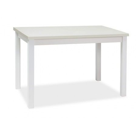 Jídelní stůl ADAM, bílý mat, 100x60 cm