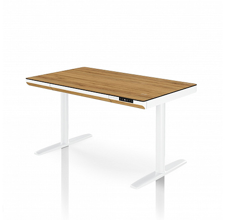 Elektrický výškově nastavitelný stůl sit-stand se zásuvkou a bezdrátovou nabíječkou Qi bílý/zlatý dub, 1200 mm: ELLIS Elektrický výškově nastavitelný stůl sit-stand se zásuvkou a bezdrátovou nabíječkou Qi bílý/zlatý dub, 1200 mm: ELLIS