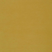 Yellow 12