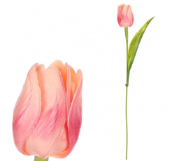 Tulipán plastový - řezaná květina, meruňkovo-růžová, cena za 1 ks